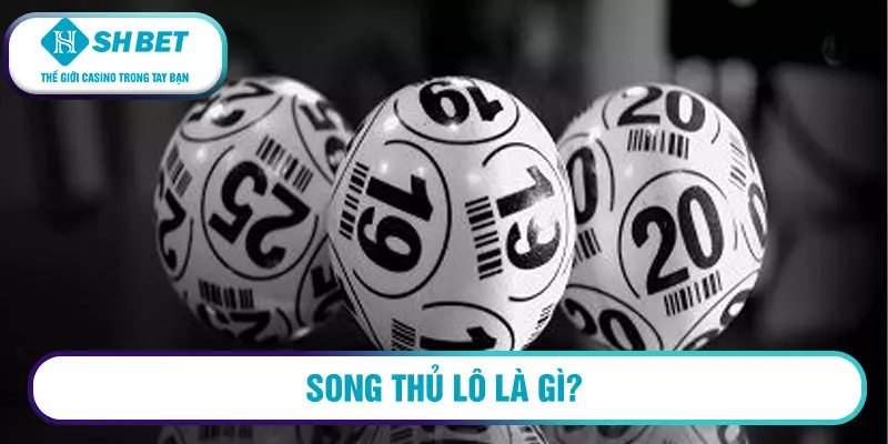 Song thủ lô miền Bắc hôm nay - Bí quyết để có được cặp song thủ lô VIP 1 Song thủ lô là gì?
