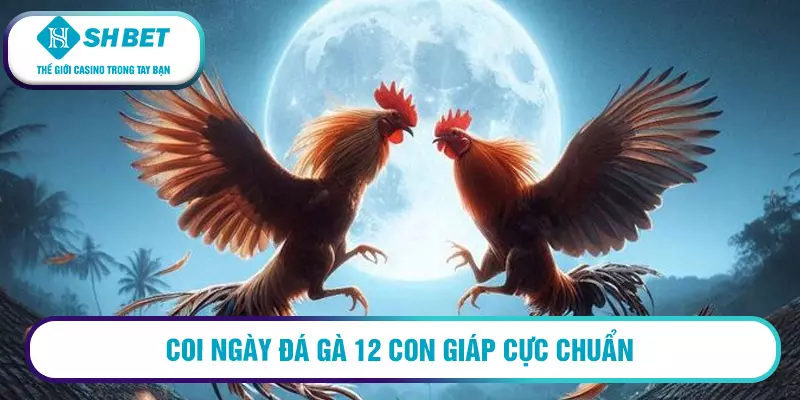 Coi ngày đá gà theo 12 con giáp trong sách kinh kê 1 Coi ngày đá gà 12 con giáp cực chuẩn