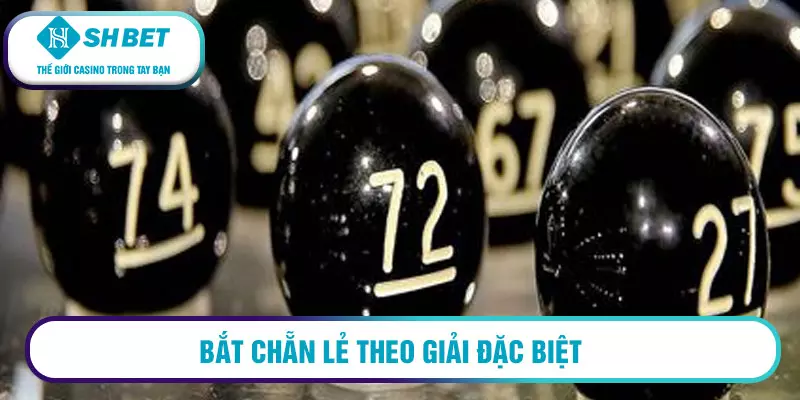 Soi cầu chẵn lẻ - Hướng dẫn bắt cầu chẵn lẻ chính xác 2 Bắt chẵn lẻ theo giải đặc biệt