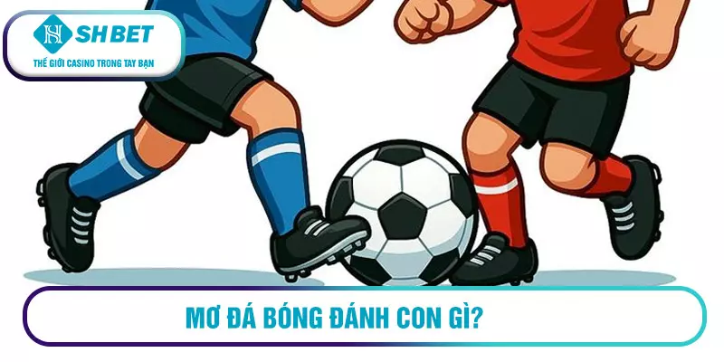 Mơ đá bóng đánh con gì? Sổ mơ chính xác nhất hiện nay 15 Mơ thấy mình chơi đá bóng